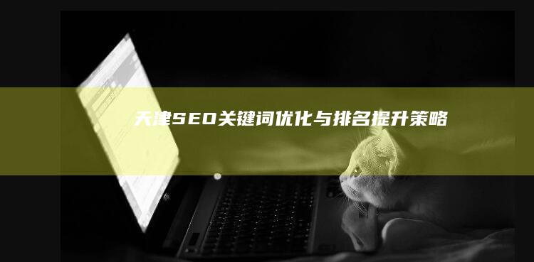 天津SEO关键词优化与排名提升策略